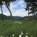 대장금마실길(3코스) 이미지