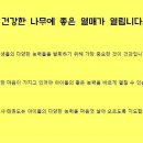 나르샤 태권도 이미지