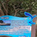 부산원조돼지국밥 이미지