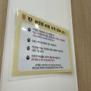 바뜰에작은카페 | 부산 수영동 카페 수영뜰, 피칸파이와 정원뷰가 기억 남는 곳 (전용주차장 있음)