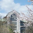 (합)대한종합관리 베리타스알파