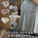 임신25주~28주 증상 및 육아용품 준비
