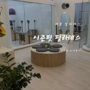 씨유배곧M플러스점 | [배곧 필라테스] 배곧 개인•소규모 그룹 필라테스 추천 “시즌핏 필라테스” 내돈내산 등록 후기