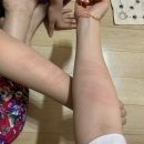 다은 민박 이미지