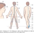 머슬테라피 이미지