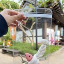 일감소품 바느질(야간) | 전주 한옥마을에서 특별한 추억 만들기! 전주공예품전시관 체험관 액막이명태만들기 후기