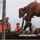 장미축사 이미지