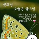 대덕대로-20 이미지