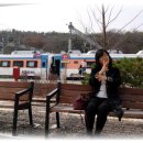 김유정역 닭갈비 이미지