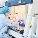 케이메디(K-MEDI) 이미지