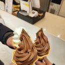 글로소프트 이미지