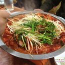 대양복어 이미지