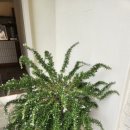 춘천로310번길 이미지