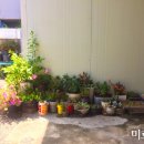 은서네 집밥 이미지