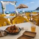 사천견생 이미지