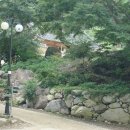 25기1관음 천년고찰 청도대비사 답사하고 왔습니다. 이미지