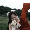 별바람 스튜디오 | 캐주얼하고 감성적인 제주 웨딩스냅, 깅지니스튜디오와 함께한 제주웨딩촬영 후기 📷