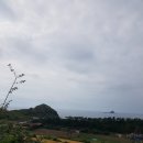 산방산랜드 이미지