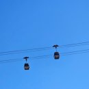 금산인삼랜드(통영) 이미지