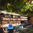 밀림 여의도 | 여의도 위스키 바 추천 분위기 미친 밀림 여의도 솔직 후기