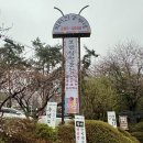 청명산 고기집 | 영통 능이백숙 박터진흥부네 용인기흥점 | 수원 청명산 보양식현지인맛집 계모임 연말모임 유아동반가족...