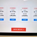 프리미엄 영어과외 이미지