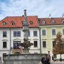 ＜비엔나에서 브라스틸라바까지 기차이동＞ 오스트리아 수도에서 슬로바키아수도 한 시간에 이동, 수도도 날씨도 옷도 다 모여 이미지