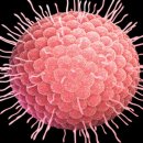 종로센트럴약국 이미지