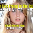 Blue eyes crying in the Rain 이미지