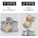 홍주수족관 | 24年12月[前]ㅣWe'll watch The Notebook for the seventeenth time