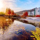 금관대로1368번길 이미지