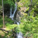 금산산림문화타운 이미지