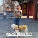 다이소경주