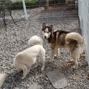 (주)이현디자인그룹 이미지