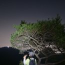정란님 사진 배달 합니다. 이미지