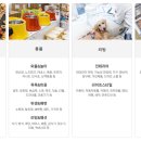 2024-주217 이미지