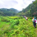 산들여행사 | 한국의 산티아고 트레킹 칠곡 한티가는길 3코스 국내트레킹여행사