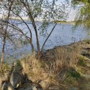 양화 택시승강장 이미지