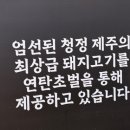 제주돈저팔계