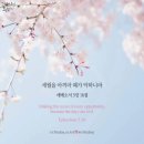 오늘제주 이미지