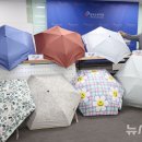 한국소비자원 강원지원 뉴시스