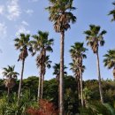 일출랜드식물원 이미지