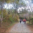 ※ 제 104차 정기산행 강천산(剛泉山:583.7m)......(전북 순창) 이미지