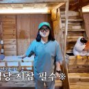 숙이민박