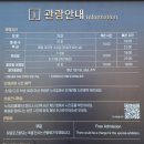 일정로1(남) 이미지