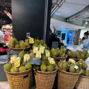 그랜드프라자 | 방콕 센트럴 플라자 그랜드 라마 9 쇼핑몰 솔직후기