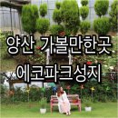 양산 가볼만한 곳 * 에코파크성지 프리마켓 다녀왔어요 ~