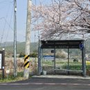 구산초등학교구서분교장 이미지