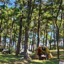덕흥해수욕장1(상시개방) | 제주 협재해수욕장 캠핑장 후기ㅣ 비수기 무료 명당 자리 및 샤워장 총정리!