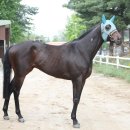 신흥스포츠 이미지